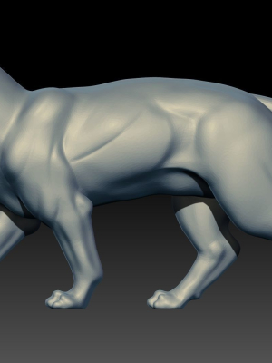 Panther
