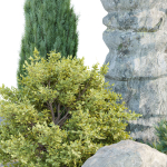 Paradise Landscape vol 95