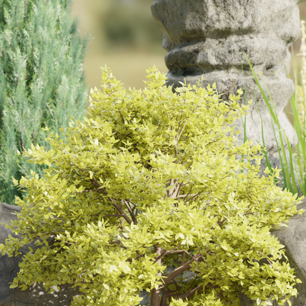 Paradise Landscape vol 95-Blender