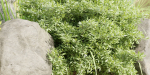 Paradise Landscape vol 95-Blender