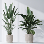 ParadiseBird and Elephantipes Gigantea Vase 08