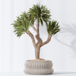 ParadiseBird and Elephantipes Gigantea Vase 08