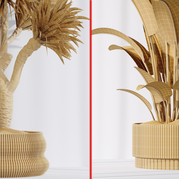 ParadiseBird and Elephantipes Gigantea Vase 08