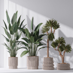ParadiseBird and Elephantipes Gigantea Vase 08