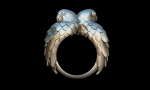 Parrots ring