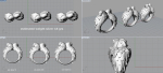 Parrots ring