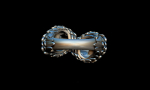 Parrots ring