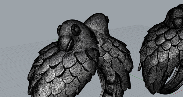 Parrots ring