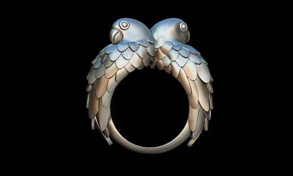 Parrots ring
