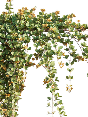 parthenocissus-sikkimensis-sikkim-creeper-02-3d-model