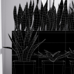 Partition Office Plants Sanseveria Snake Air Purifying