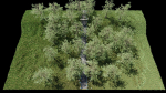 Path to Shrine Scene