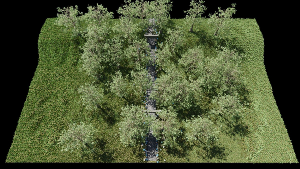 Path to Shrine Scene