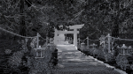 Path to Shrine Scene