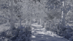 Path to Shrine Scene