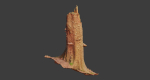 PBR Spruce Stump Broken Dead Photoscan Realistic