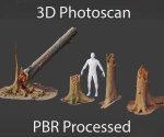 PBR Spruce Stump Broken Dead Photoscan Realistic