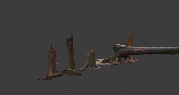 PBR Spruce Stump Broken Dead Photoscan Realistic