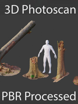 PBR Spruce Stump Broken Dead Photoscan Realistic