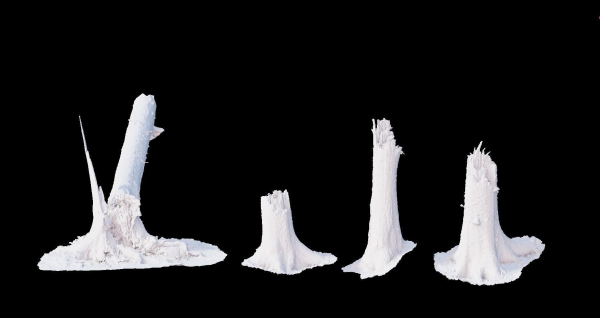 PBR Spruce Stump Broken Dead Photoscan Realistic