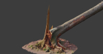 PBR Spruce Stump Broken Dead Photoscan Realistic