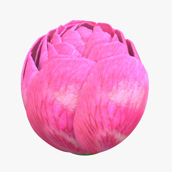 Peon bud 3d-print ready