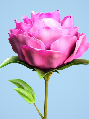 Peony flower