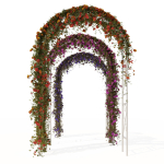 Pergola with ivy