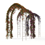 Pergola with ivy