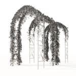 Pergola with ivy