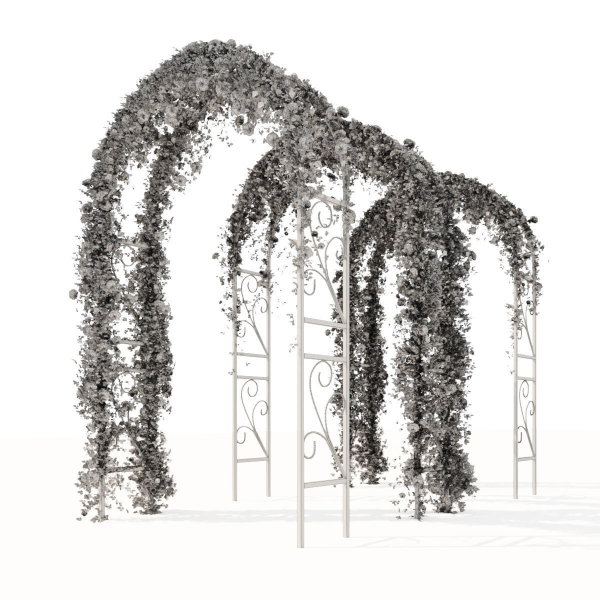 Pergola with ivy