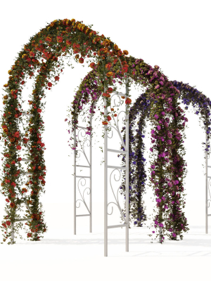 Pergola with ivy
