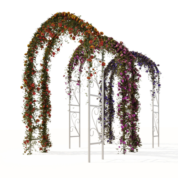 Pergola with ivy