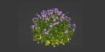 Periwinkle flowering plants vol 185-Blender