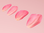Petals pack