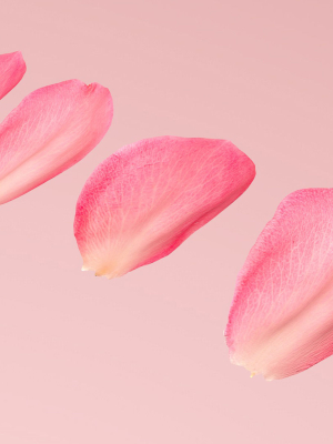 petals-pack-3d-model-max-obj-fbx-c4d-fbm