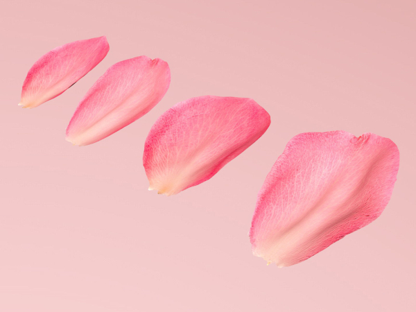 Petals pack