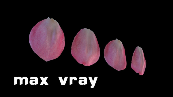 Petals pack