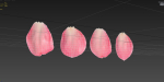 Petals pack
