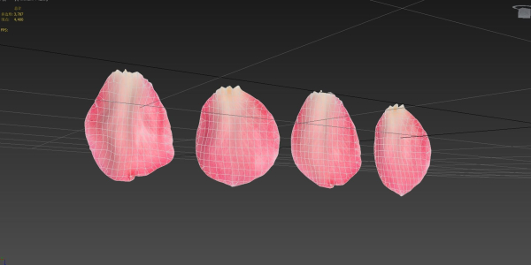 Petals pack