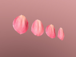 Petals pack