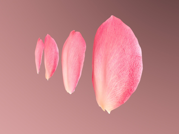 Petals pack