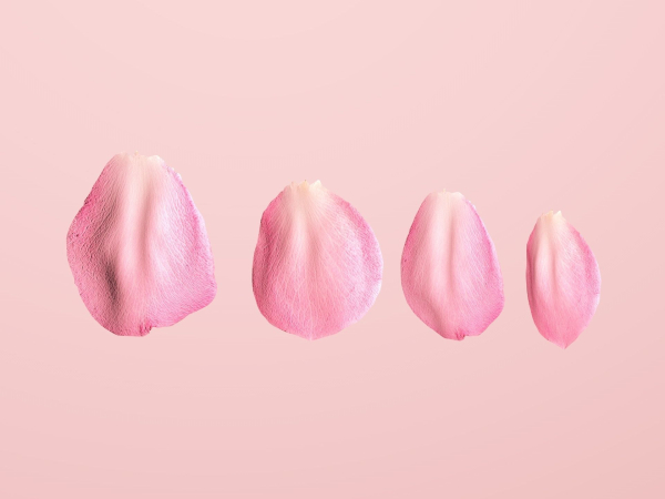 Petals pack