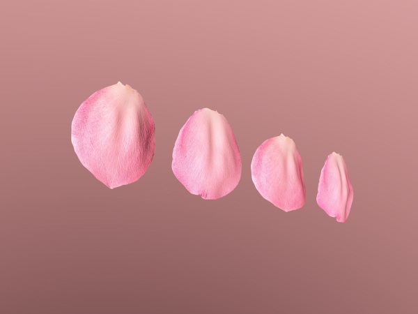 Petals pack