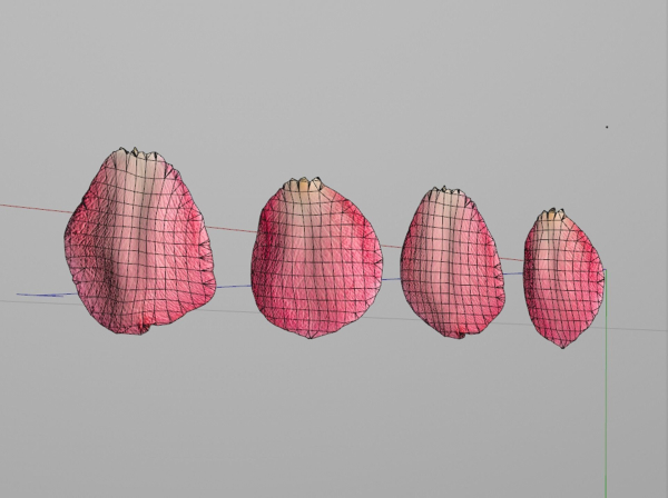 Petals pack