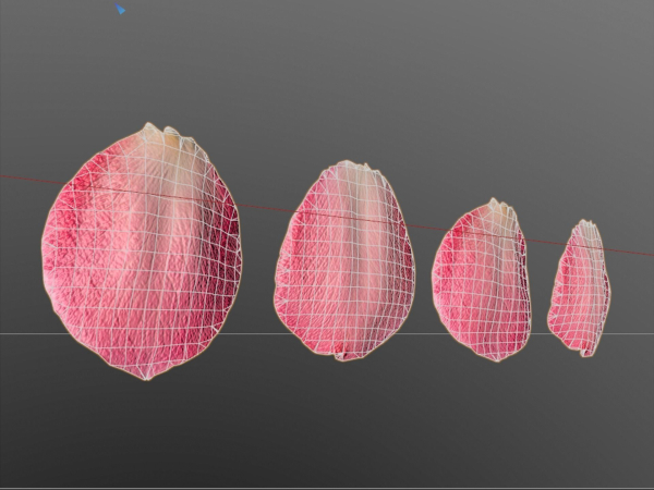 Petals pack