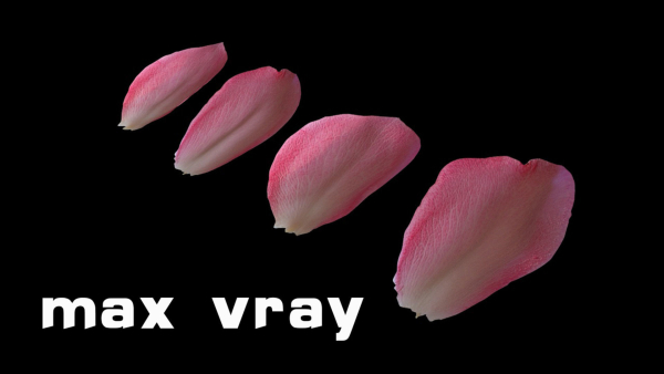 Petals pack