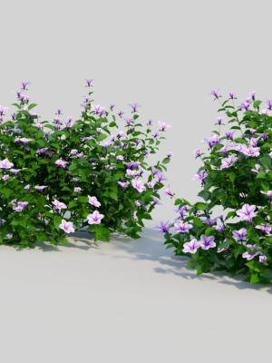 petunia-integrifolia-c-3d-model-dd5e91c46c