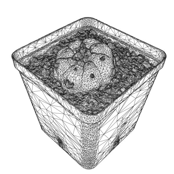 Peyote Scan