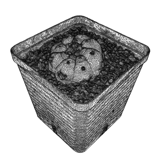 Peyote Scan